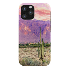 83 Oranges Cactus Sunset Phone Case