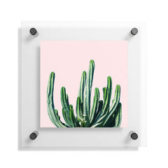 83 Oranges Cactus V6 Floating Acrylic Print