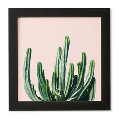 83 Oranges Cactus V6 Framed Wall Art