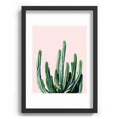 83 Oranges Cactus V6 Recessed Framing Rectangle