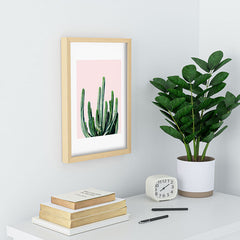 83 Oranges Cactus V6 Recessed Framing Rectangle
