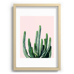 83 Oranges Cactus V6 Recessed Framing Rectangle