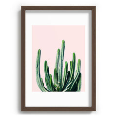 83 Oranges Cactus V6 Recessed Framing Rectangle