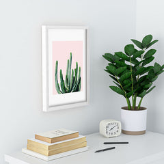 83 Oranges Cactus V6 Recessed Framing Rectangle