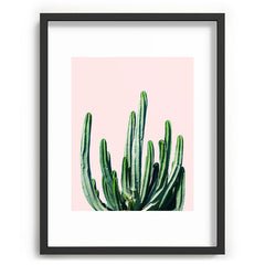83 Oranges Cactus V6 Recessed Framing Rectangle