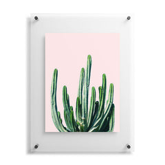 83 Oranges Cactus V6 Floating Acrylic Print
