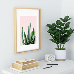 83 Oranges Cactus V6 Recessed Framing Rectangle