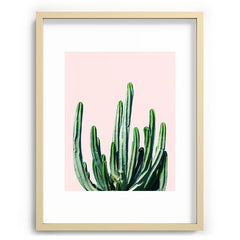 83 Oranges Cactus V6 Recessed Framing Rectangle