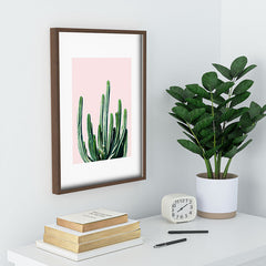 83 Oranges Cactus V6 Recessed Framing Rectangle