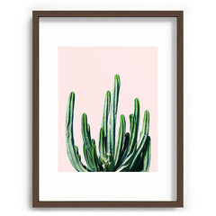 83 Oranges Cactus V6 Recessed Framing Rectangle