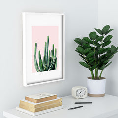 83 Oranges Cactus V6 Recessed Framing Rectangle