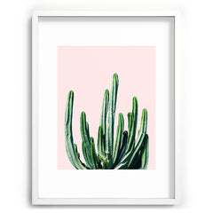 83 Oranges Cactus V6 Recessed Framing Rectangle
