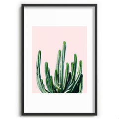 83 Oranges Cactus V6 Recessed Framing Rectangle