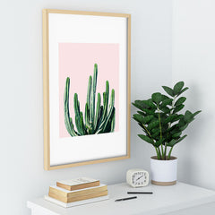 83 Oranges Cactus V6 Recessed Framing Rectangle