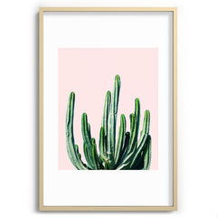 83 Oranges Cactus V6 Recessed Framing Rectangle