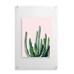 83 Oranges Cactus V6 Floating Acrylic Print