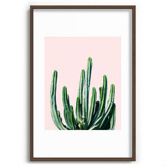 83 Oranges Cactus V6 Recessed Framing Rectangle