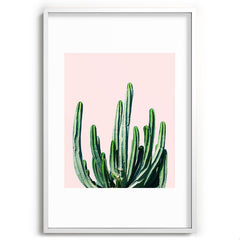 83 Oranges Cactus V6 Recessed Framing Rectangle
