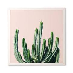 83 Oranges Cactus V6 Framed Wall Art