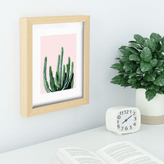 83 Oranges Cactus V6 Recessed Framing Rectangle