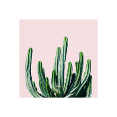 83 Oranges Cactus V6 Art Print