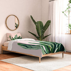 83 Oranges Cactus V6 Comforter