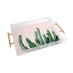 83 Oranges Cactus V6 Acrylic Tray