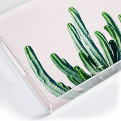 83 Oranges Cactus V6 Acrylic Tray