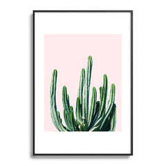 83 Oranges Cactus V6 Metal Framed Art Print