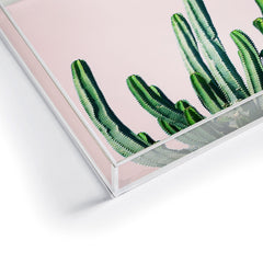 83 Oranges Cactus V6 Acrylic Tray