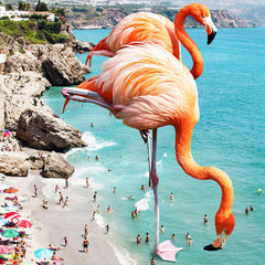 83 Oranges Flamingos on the Beach Wildlife Wall Mural