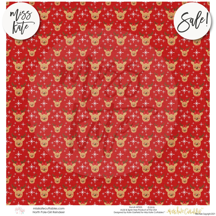 North Pole - Paper Pack 12X12 (Ss)