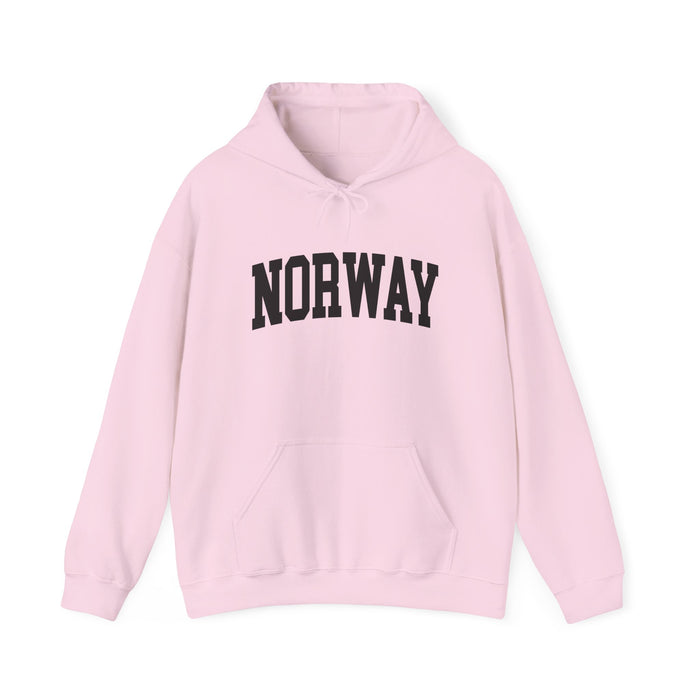 Norway University Hooded Sweatshirt