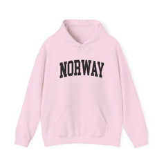 Norway University Hooded Sweatshirt