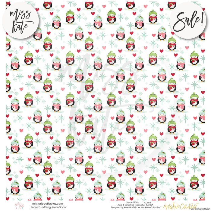 Snow Fun - Paper Pack 12X12 (Ss)