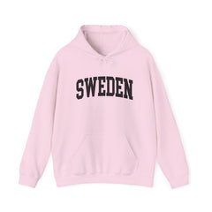 Sweden University Hooded Sweatshirt