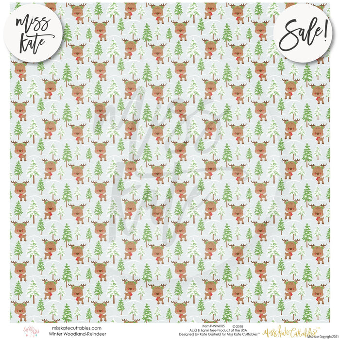 Winter Woodland - Paper Pack 12X12 (Ss)