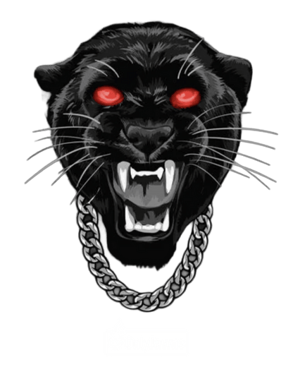 Jordan 11 BRED Panther - Original Jawns - Black T-Shirt - T-Shirt - Jawns on Fire Sneakers & Shoes