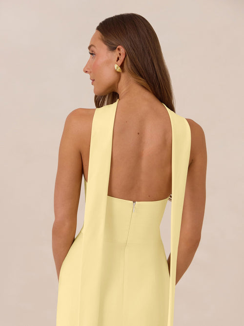 Elegant Dress