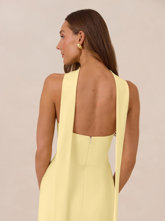 Elegant Dress