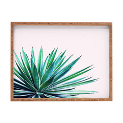 83 Oranges Agave Love Rectangular Tray