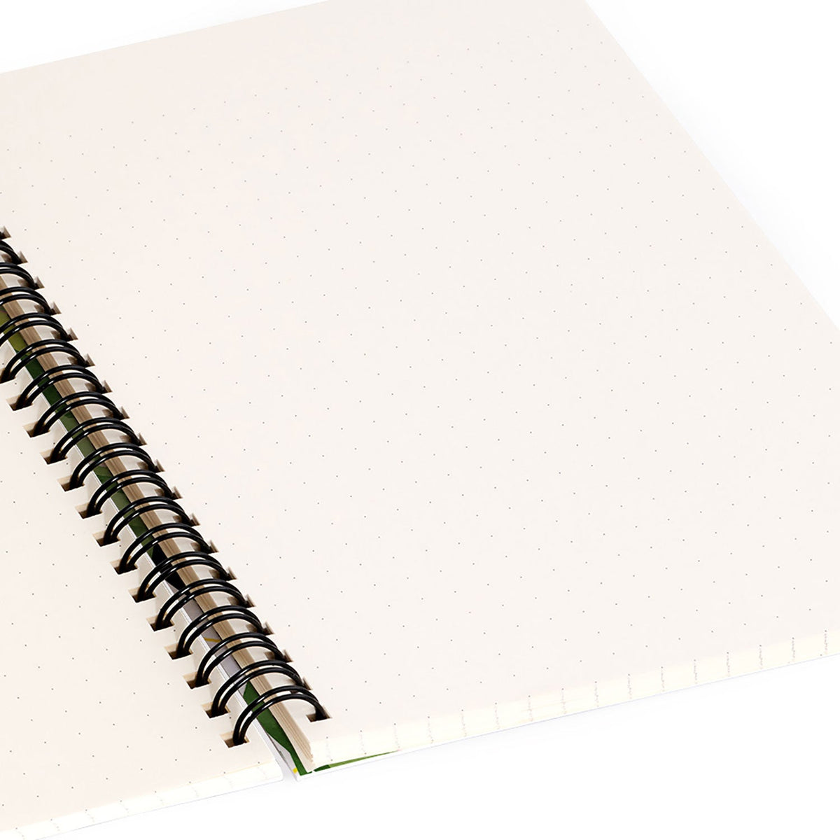 83 Oranges Banana Leaf Salad Spiral Notebook