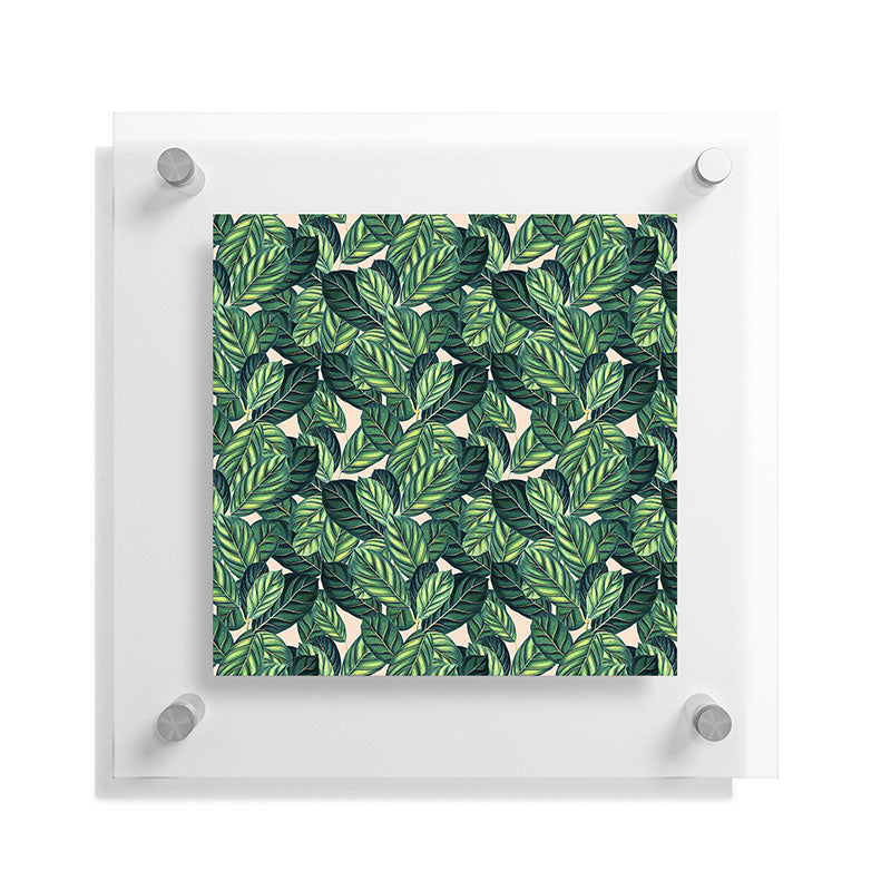 83 Oranges Botany Floating Acrylic Print