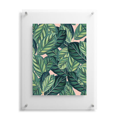 83 Oranges Botany Floating Acrylic Print
