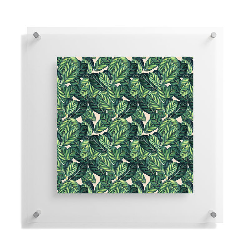 83 Oranges Botany Floating Acrylic Print