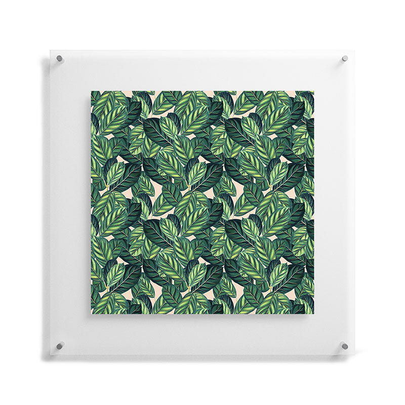 83 Oranges Botany Floating Acrylic Print