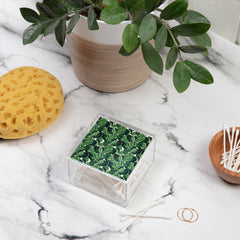 83 Oranges Botany Acrylic Box