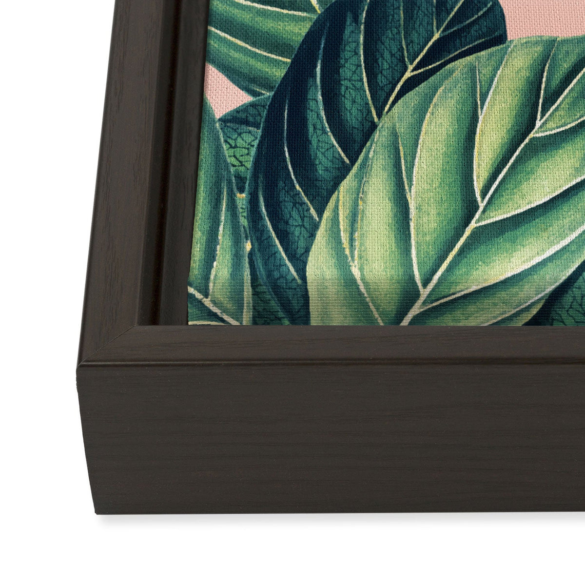 83 Oranges Botany Art Canvas