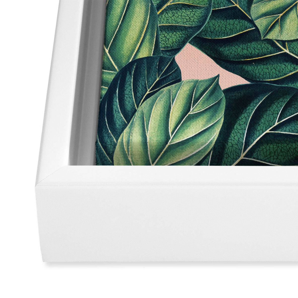 83 Oranges Botany Art Canvas