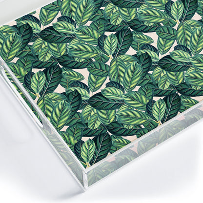 83 Oranges Botany Acrylic Tray